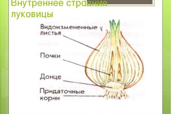 Площадка омг омг ссылка